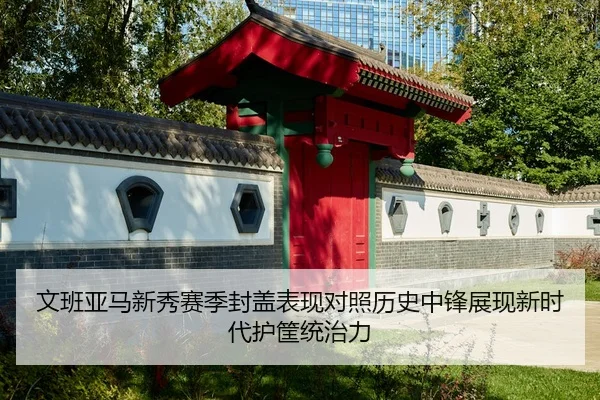 文班亚马新秀赛季封盖表现对照历史中锋展现新时代护筐统治力