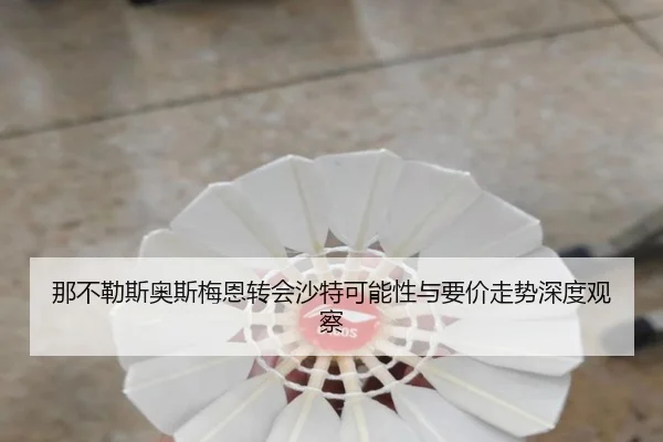 那不勒斯奥斯梅恩转会沙特可能性与要价走势深度观察 - kaiyun